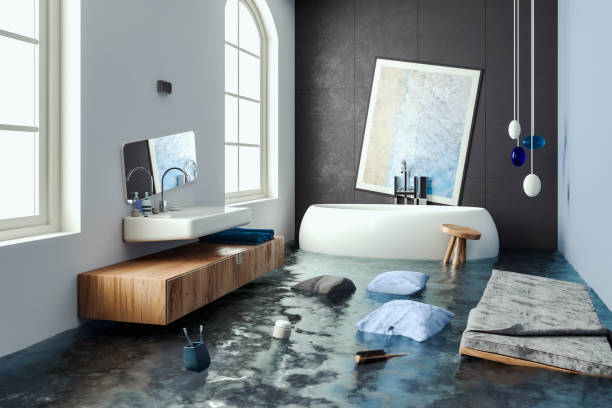 Best Water damage restoration mold remediation  in West Baraboo, WI