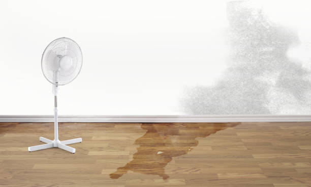Best Ceiling water damage repair  in West Baraboo, WI