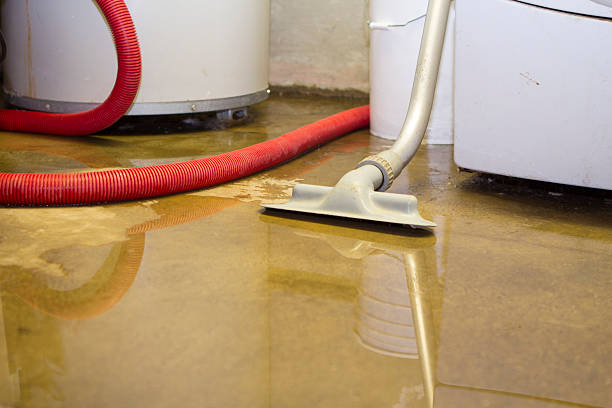 Best Water damage restoration near me  in West Baraboo, WI