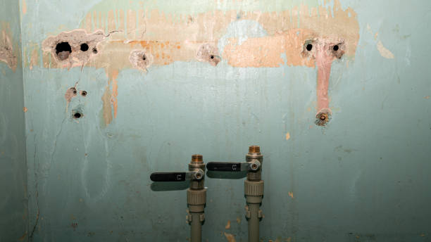Best Sewage cleanup and water damage restoration  in West Baraboo, WI