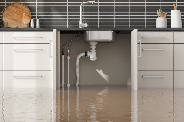 Best Flooded house restoration  in West Baraboo, WI