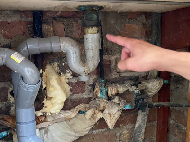 Best Water damage cleanup near me  in West Baraboo, WI