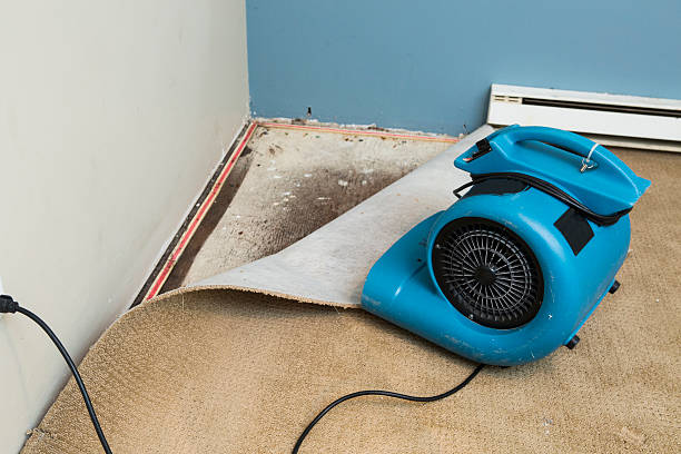 Best Mold removal after water damage  in West Baraboo, WI